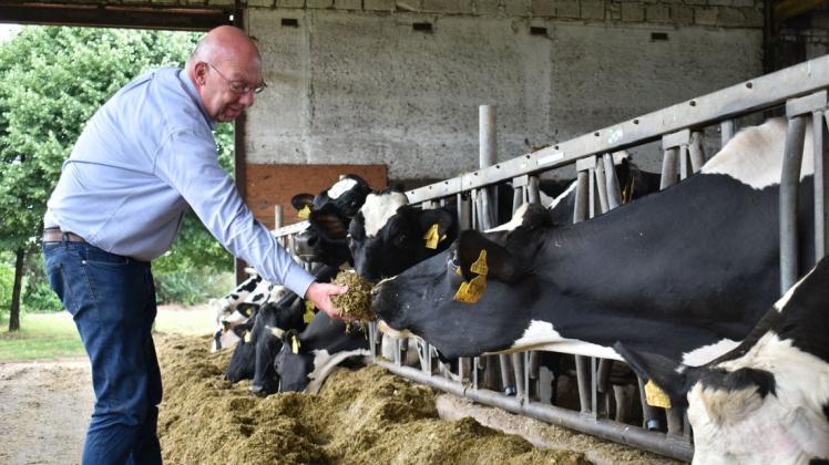 Für die Kühe von Pieter Ritsema gibt es selbst angebautes Futtermittel.