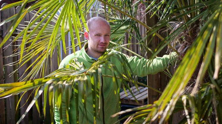 Diese Palme hat Florian Faust 2013 gepflanzt. Inzwischen vertreibt er die Samen deutschlandweit.