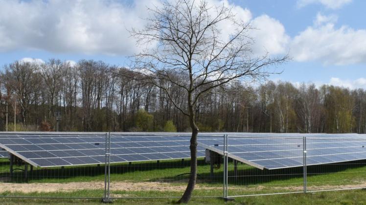 Sie sorgen für die Energiegewinnung: Solarpanele.