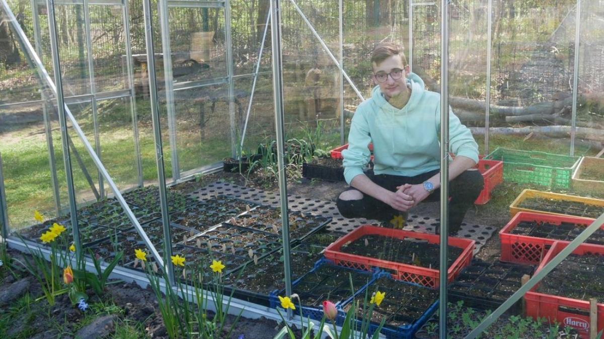 Jungpflanzenverkauf aus "Felix Hobby Garten" am Tierheim Lingen