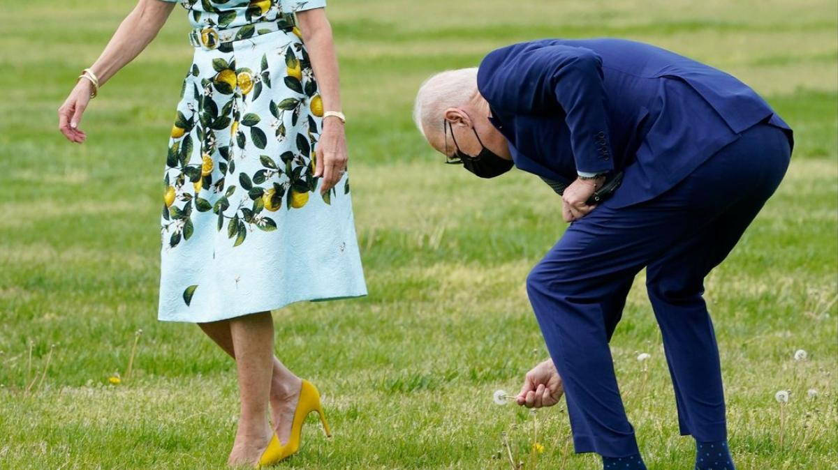 Us Präsident Joe Biden Pflückt Blume Für Jill Biden Noz 