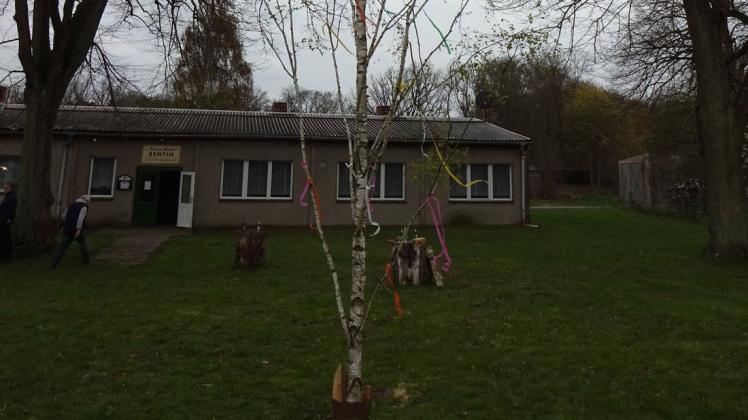 Ein bunt geschmückter Maibaum wurde in Bentin aufgestellt.