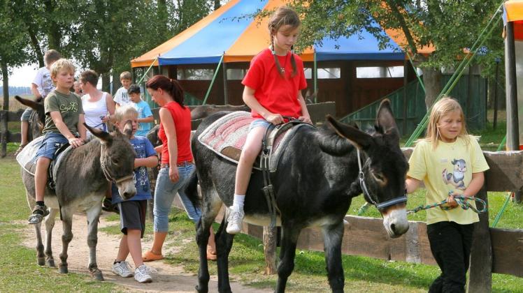 Der Eselhof Schlage ist ein beliebtes Ausflugsziel bei Familien und Schulklassen.