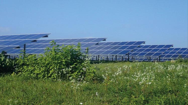 Diese Photovoltaikanlage der Naturstrom AG steht in Uttenreuth in Mittelfranken bei Erlangen.