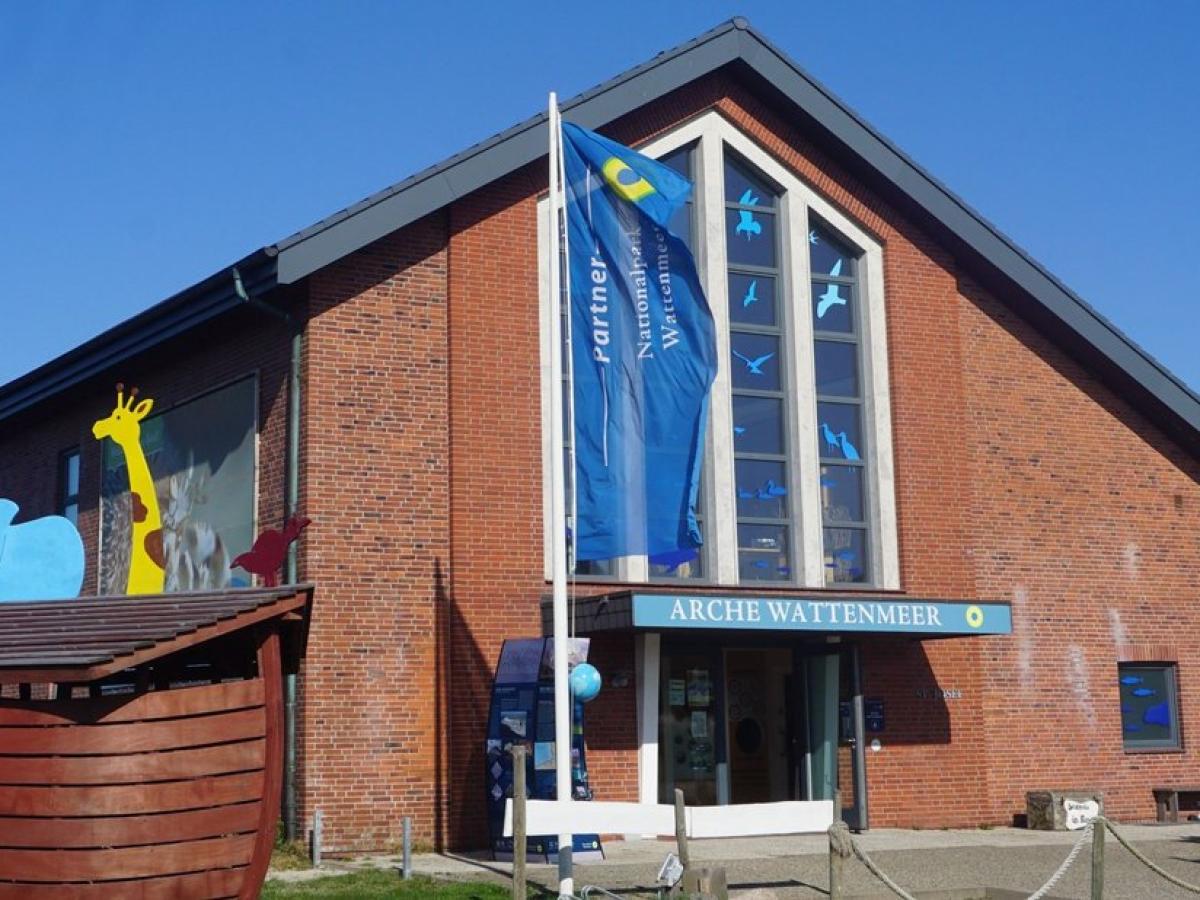 Sonderausstellung auf Sylt Arche Wattenmeer in H rnum zeigt