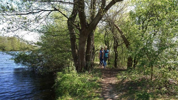 Neue Wege kann man mit Hilfe des Wanderknotennetzes im Naturpark Moor jetzt gehen.