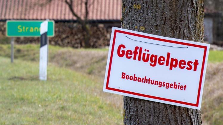 Bereich gebiet kreuzworträtsel
