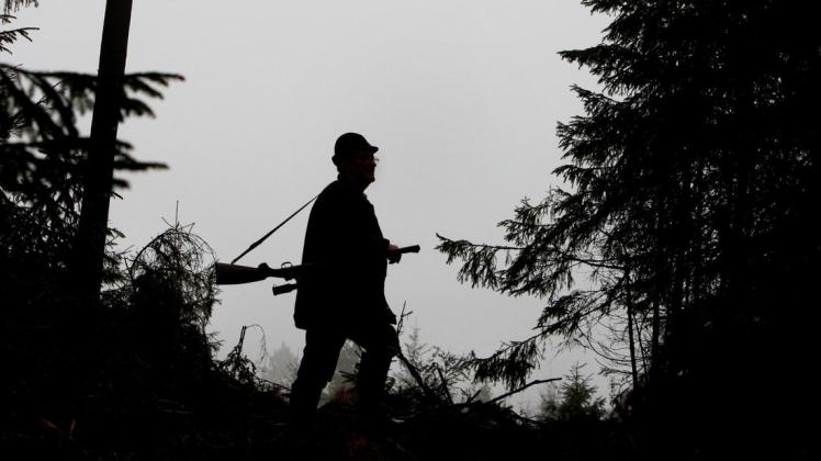 Symbolbild: Ein Jäger pirscht am durch den in Dunst gehüllten Herbstwald. Bedingung ist ein gültiger Jagdschein.