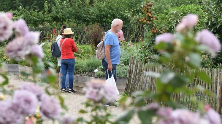 Ostholstein/Plön Aktion „Offener Garten“ startet auch 2021