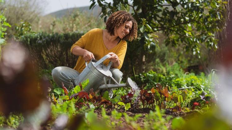 Mit einigen Tipps gelingt Ihnen ein klimafreundlicher Garten.