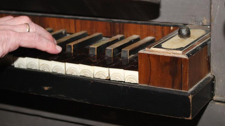 Die Stirnseiten der Tasten der alten Schrankorgel in Kirch Rosin sind aus Elfenbein mit Halbkreisprofilen. Jetzt wird das Instrument restauriert.