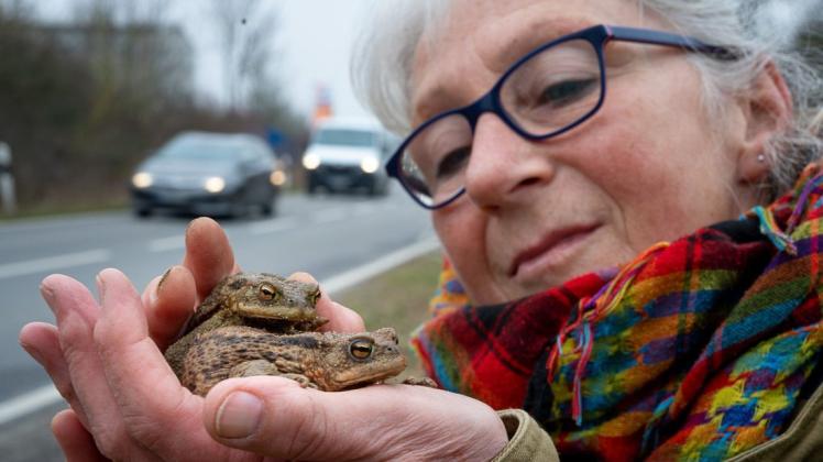 Die Krötenretterin: Christiane Raymond hilft Kröten und Fröschen über die Straße.
