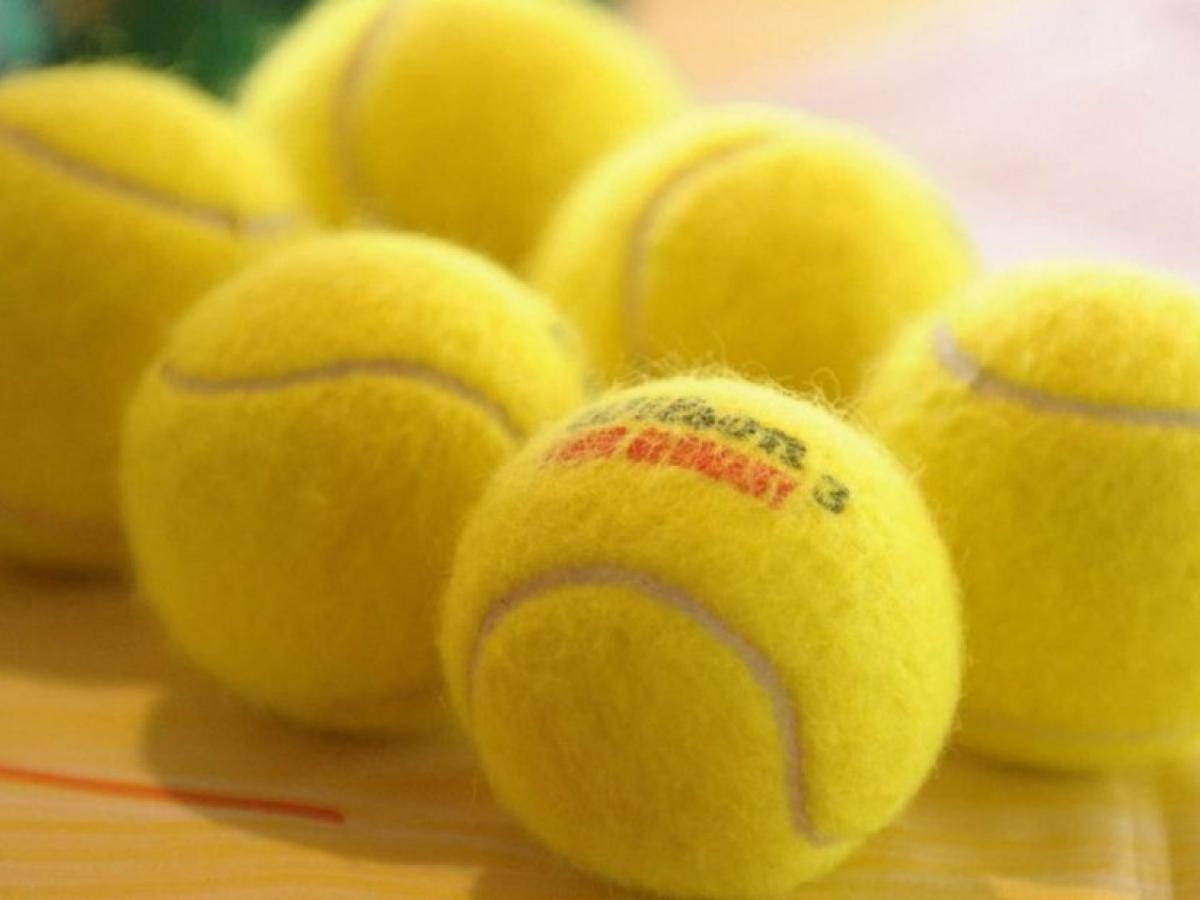 neus Opeenvolgend Dierentuin Tennisverband Niedersachsen-Bremen verschiebt Start der | DKO