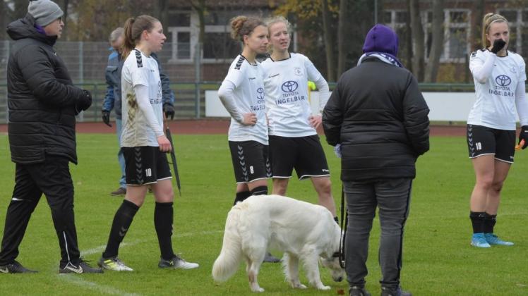 Die Regionalliga-Spielerinnen des TV Jahn legen momentan coronabedingt eine Pause ein.