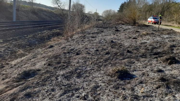 Ein außer Kontrolle geratenes Gartenfeuer verursachte nahe Penzin einen großflächigen Böschungsbrand.