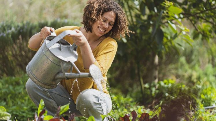 Schon 30 Minuten Gartenarbeit am Tag machen glücklicher und gesünder.