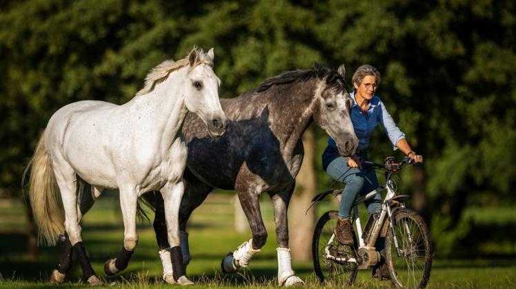 Reitsportexpertin Anne Krüger-Degener über ihre Arbeit mit