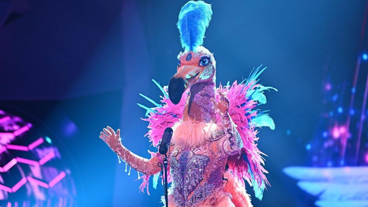 The Masked Singer Diese Stars Wurden Jetzt Schon Enttarnt Shz