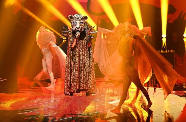 The Masked Singer Diese Stars Wurden Jetzt Schon Enttarnt Noz