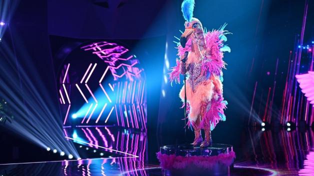 The Masked Singer Diese Stars Wurden Jetzt Schon Enttarnt Noz