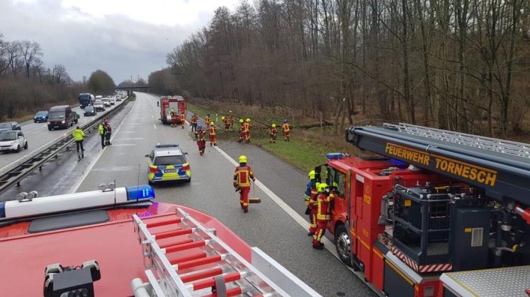 Weil ein Baum auf den Standstreifen der A23 gestürzt war und auch auf die rechte Spur ragte, musste die Autobahn in Richtung Hamburg zeitweise gesperrt werden. Das Hindernis wurde von der Freiwilligen Feuerwehr Tornesch beseitigt.