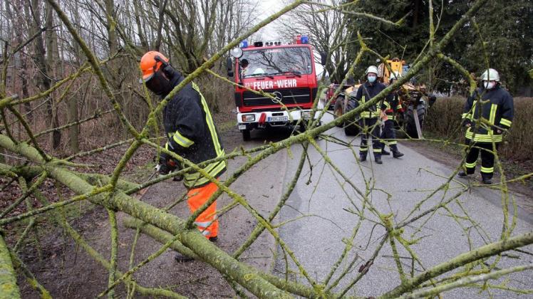 Kameraden der Freiwilligen Feuerwehr Mestlin räumen einen Baum von der Fahrbahn zwischen Ruest und Ruester Krug.