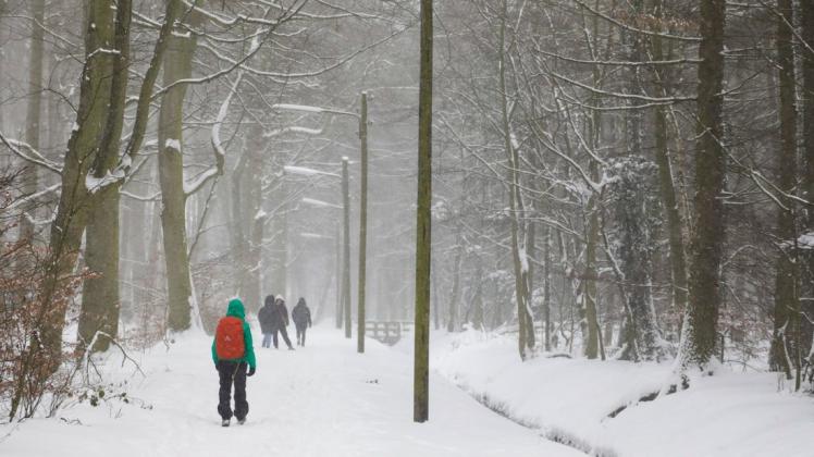 Waldbesucher sollten bei winterlichen Temperaturen immer auf den Wegen bleiben. Diese Bitte haben die Jäger im Landkreis Osnabrück – damit die Wildtiere nicht gestört und gestresst werden. (Symbolfoto)