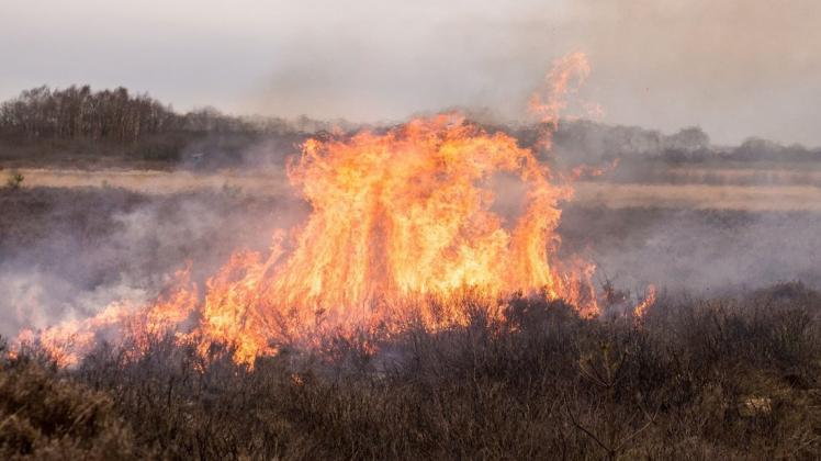 Heide steht im Naturschutzgebiet Tinner Dose bei Haren in Flammen. Die Bundeswehr setzt das Feuer gezielt zur Landschaftspflege ein.
