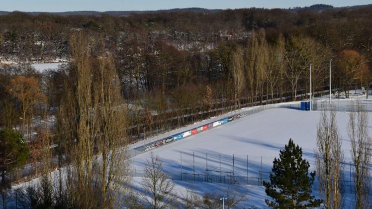 Damit am Sportplatz gebaut werden kann, müssen einige Bäume weichen.