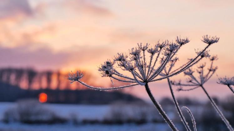 Eine zauberhafte Kombination: Eis, Schnee und die untergehende Sonne.