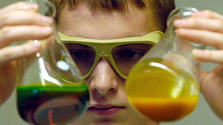 Im Sommer wechseln weniger Schüler in die weiter führenden Schulen der Prignitz.