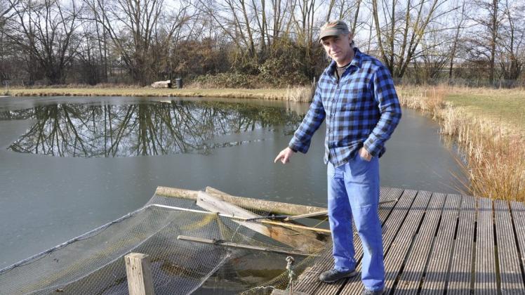 Matthias Wille zeigt das kleine Loch im Hälternetz, durch das der Kormoran den Fisch holte bzw. tötete.