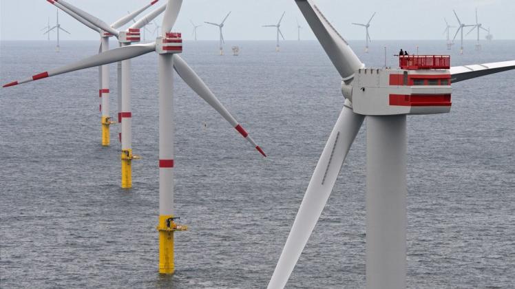 Die Energiegewinnung auf See ist nach Einschätzung von Sear-Gesellschafter Mayk Wiese ein Wachstumsmarkt. Für die kommenden Jahre seien weitere Offshore-Windparks geplant.