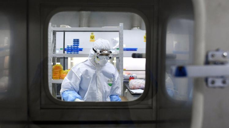 Stammt das Virus doch aus einem Labor? Das Papier eines Hamburger Nanowissenschaftlers wirft zumindest Fragen auf.