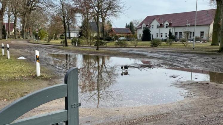 Nach den extremen Schneefällen in der vergangenen Woche sieht ein Teil der Techentiner Eichenallee so aus. Vor den Grundstücken haben sich riesige Pfützen gebildet. Nach den extremen Schneefällen in der vergangenen Woche sieht ein Teil der Techentiner Eichenallee so aus. Vor den Grundstücken haben sich riesige Pfützen gebildet.