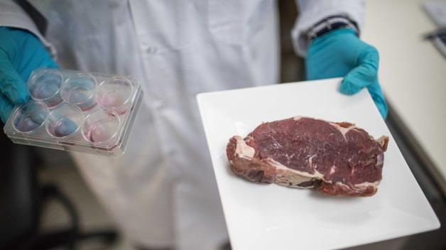 Das Steak aus dem Drucker  auf beste Empfehlung von Bill Gates