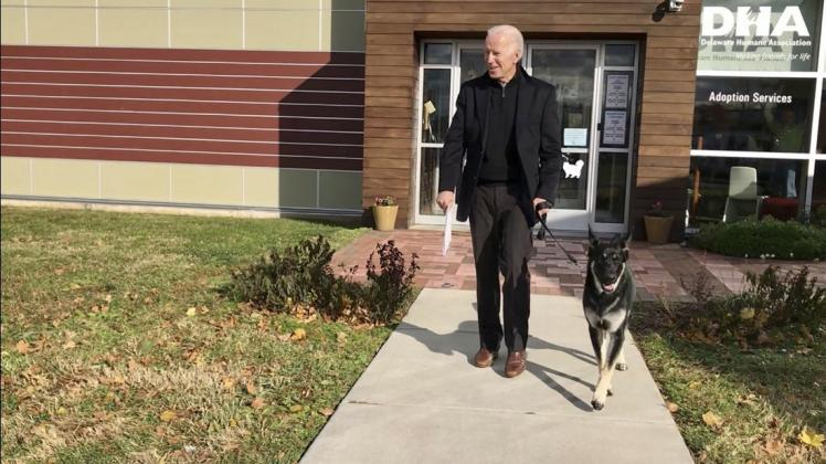 2018: Biden verlässt mich seinem frisch adoptierten Schäferhund "Major" das Tierheim DHA in Wilmington.