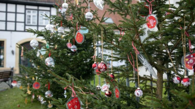 Kindergartenkinder haben Weihnachtsbäume auf dem Bad Essener mit weihnachtlichem Schmuck versehen. Kindergartenkinder haben Weihnachtsbäume auf dem Bad Essener mit weihnachtlichem Schmuck versehen.