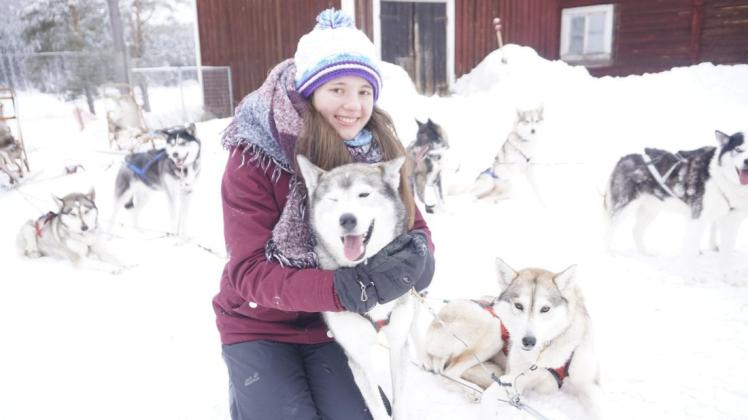 Unterwegs im Schnee: In ihrem Auslandssemester im schwedischen Umeå erlebte Jana Hüller nicht nur ihr Studium anders, sondern machte auch viele landestypische Erfahrungen - wie zum Beispiel eine Tour mit den kuscheligen Schlittenhunden.