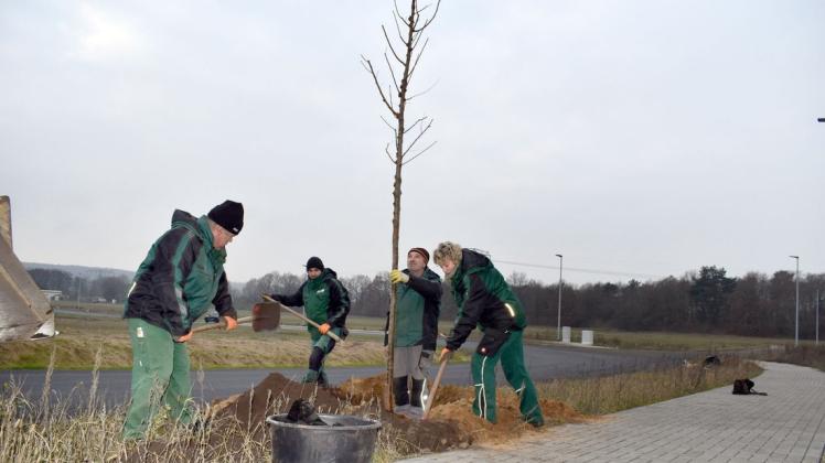 Männer und Frauen mit dem grünen Daumen bringen im neuen Gewerbepark "Vietingshof" Nord Bäume und Sträucher in die Erde.