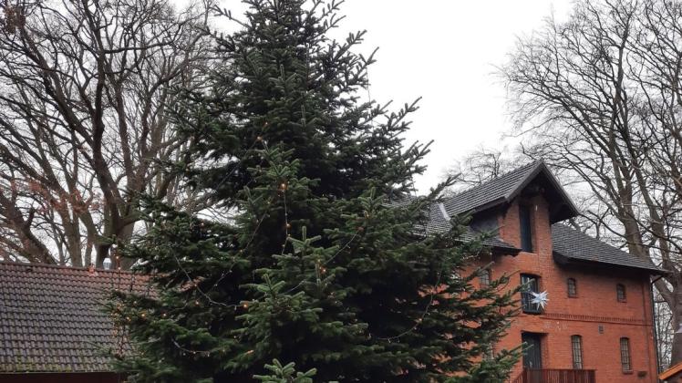 Der Förderverein Gut Varrel hat wieder einen Weihnachtsbaum auf dem Hof des Guts aufgestellt. Der Förderverein Gut Varrel hat wieder einen Weihnachtsbaum auf dem Hof des Guts aufgestellt.