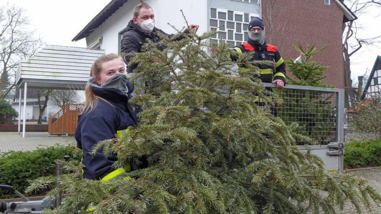 Als Dreierteam sind Annika Schnier, Daniel Leben und Raphael Rohatsch (von links) in Alt-Lotte unterwegs und sammeln abgesungene Weihnachtsbäume ein.