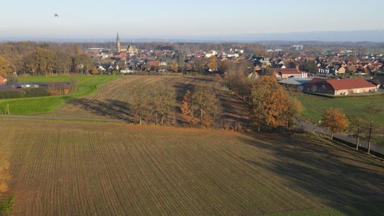 2021 will die Gemeinde Neuenkirchen beginnen, das Baugebiet "Südlich Haarmeyers Kamp" zu erschließen. Im kommenden Jahr könnten dann die ersten Häuser gebaut werden.