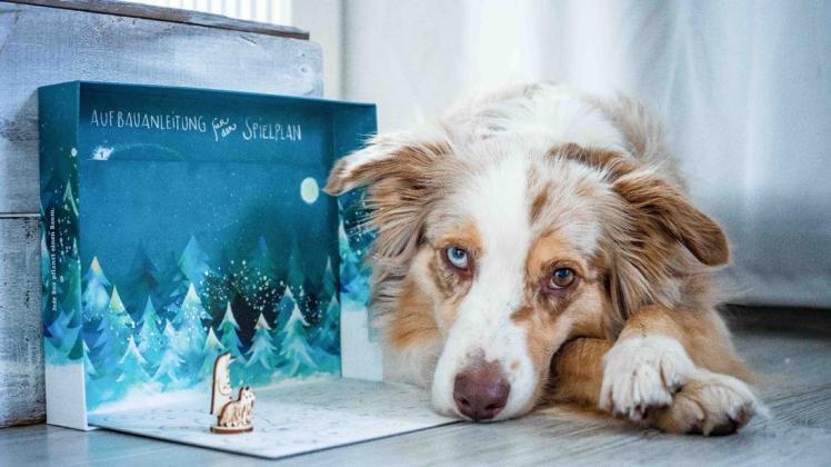 An 31 Dezembertagen zeigt der Schnauzbert-Kalender neue Blickwinkel auf das Leben mit Hund auf und schenkt Anregungen für kostbare Momente im Mensch-Hund-Zusammensein.