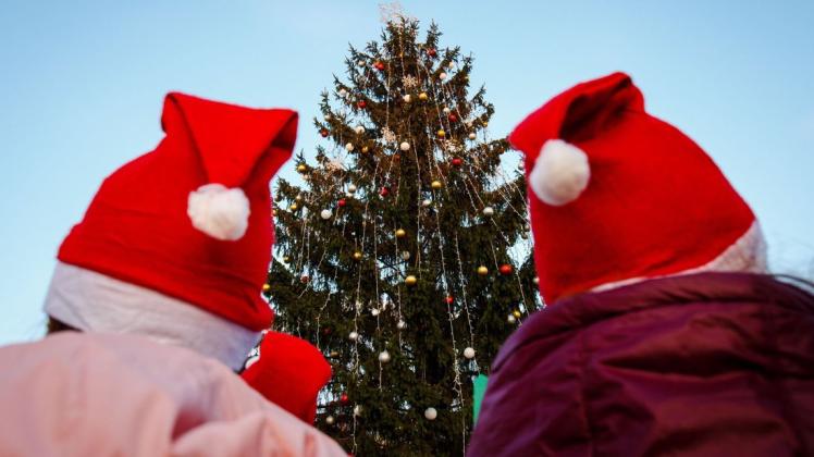 Lingen erhält "höchsten transportablen Weihnachtsbaum Niedersachsens".