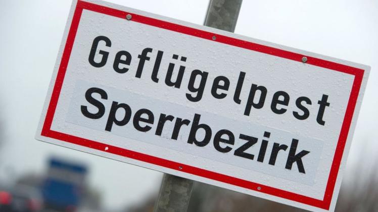 In Norddeutschland steigen die gemeldeten Vogelgrippe-Fälle in Geflügelbeständen (Symbolfoto).