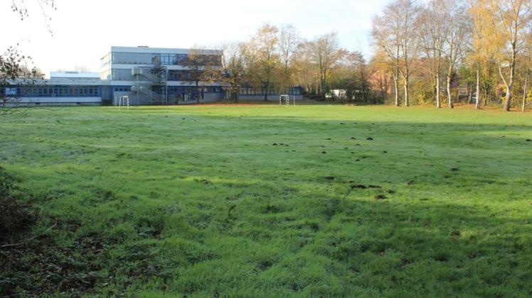 Noch eine Wiese, in Zukunft der Standort der Kita St. Anna in Aschendorf: die Fläche im hinteren Bereich der Heinrich-Middendorf-Oberschule. Noch eine Wiese, in Zukunft der Standort der Kita St. Anna in Aschendorf: die Fläche im hinteren Bereich der Heinrich-Middendorf-Oberschule.