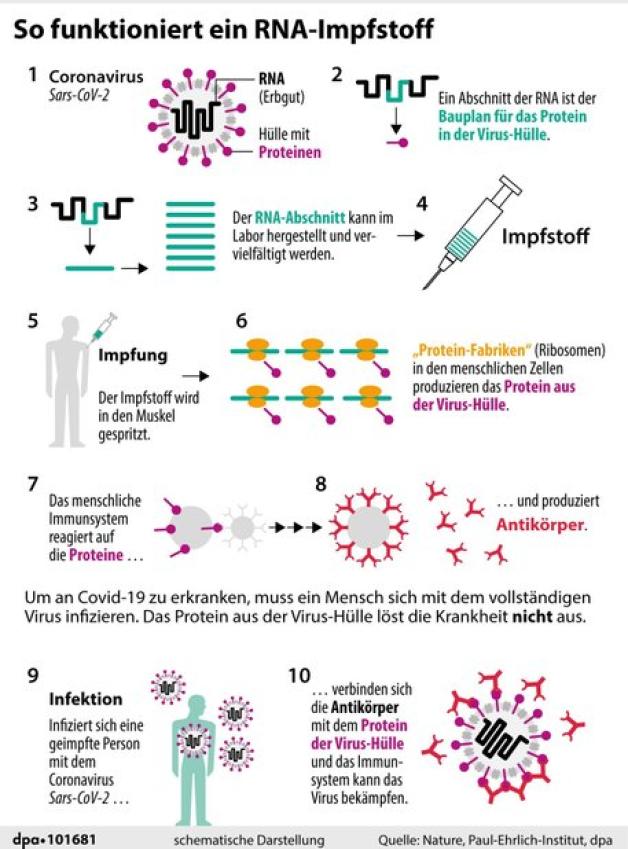 Corona-Impfstoff: Helfen MRNA-Impfungen Auch Gegen Krebs? | SVZ