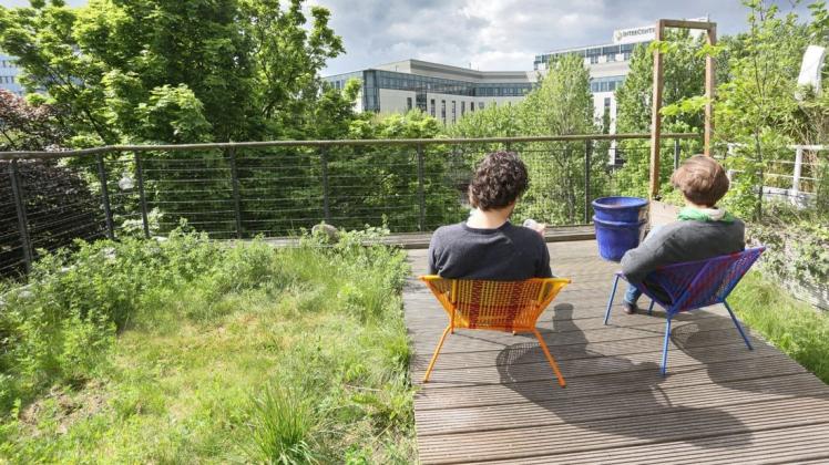 Dachbegrünungen können auch mehr Lebensqualität bedeuten, wie dieses Beispiel aus Berlin zeigt.