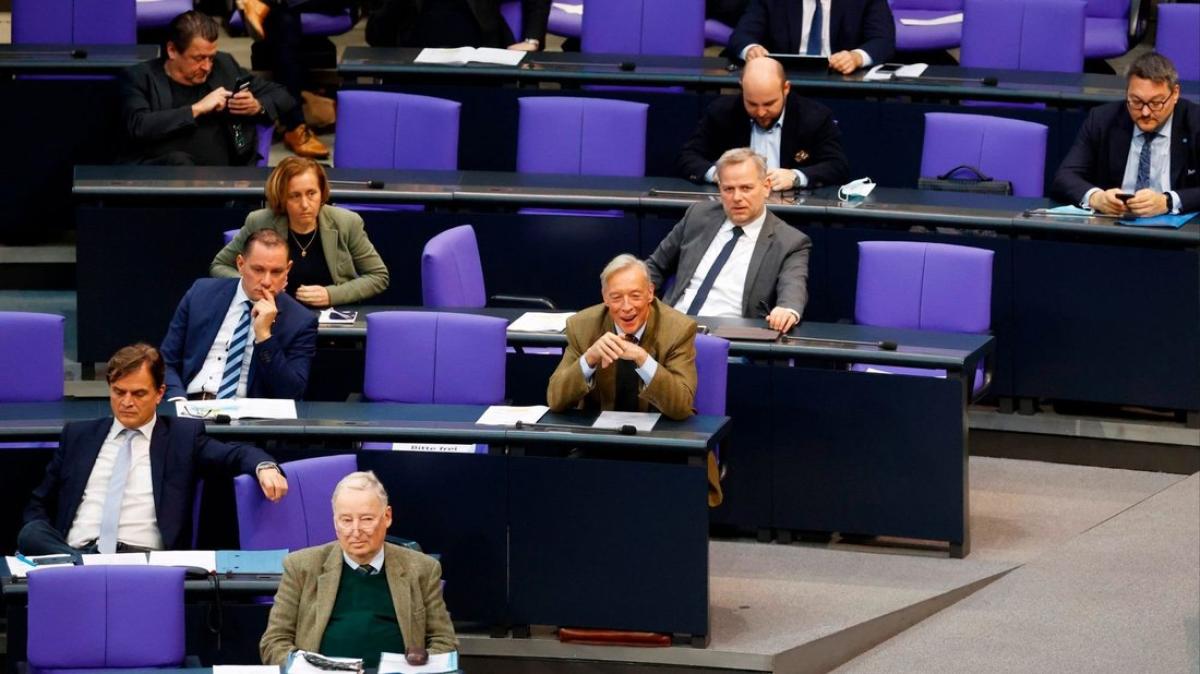 Nach Störaktion Im Bundestag: Kann Die AfD Verboten Werden? | NOZ